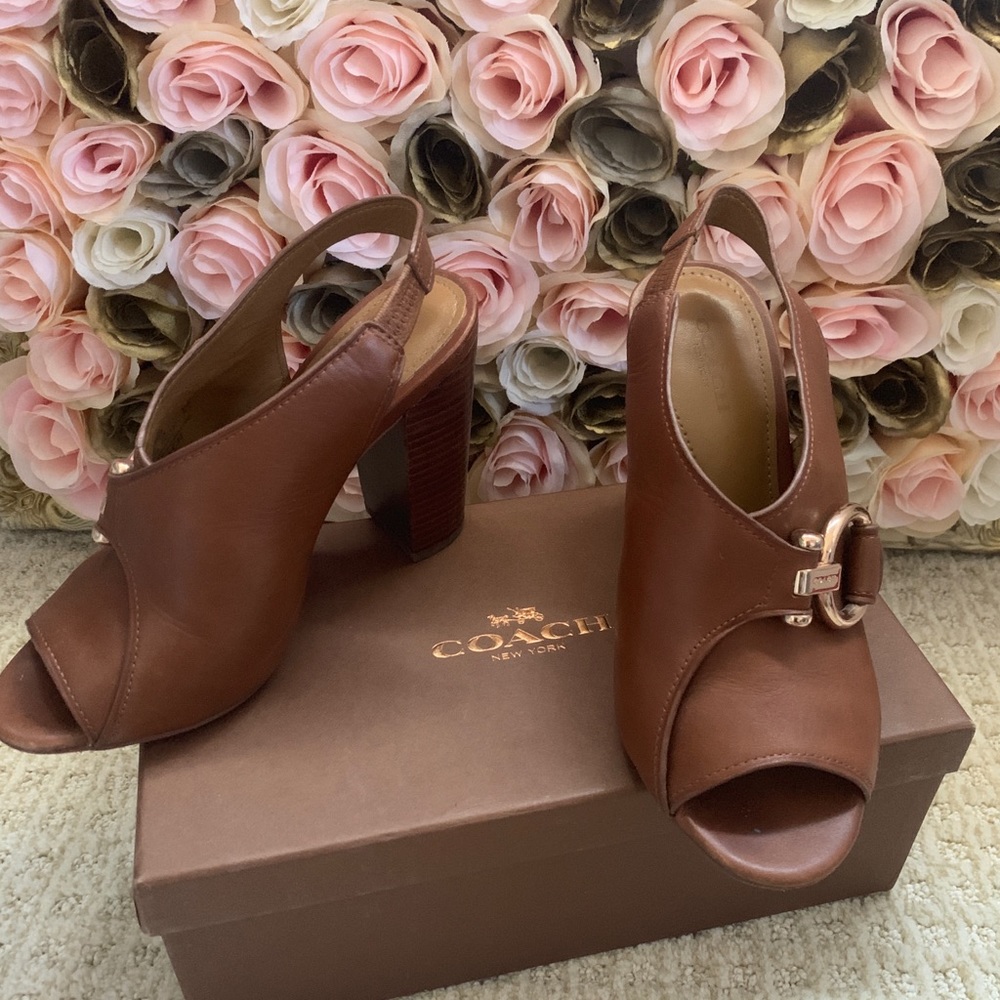 Coach horseshoe buckle sandals